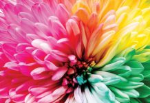 Koloroterapia – banalnie kolorowa, niesamowicie skuteczna
